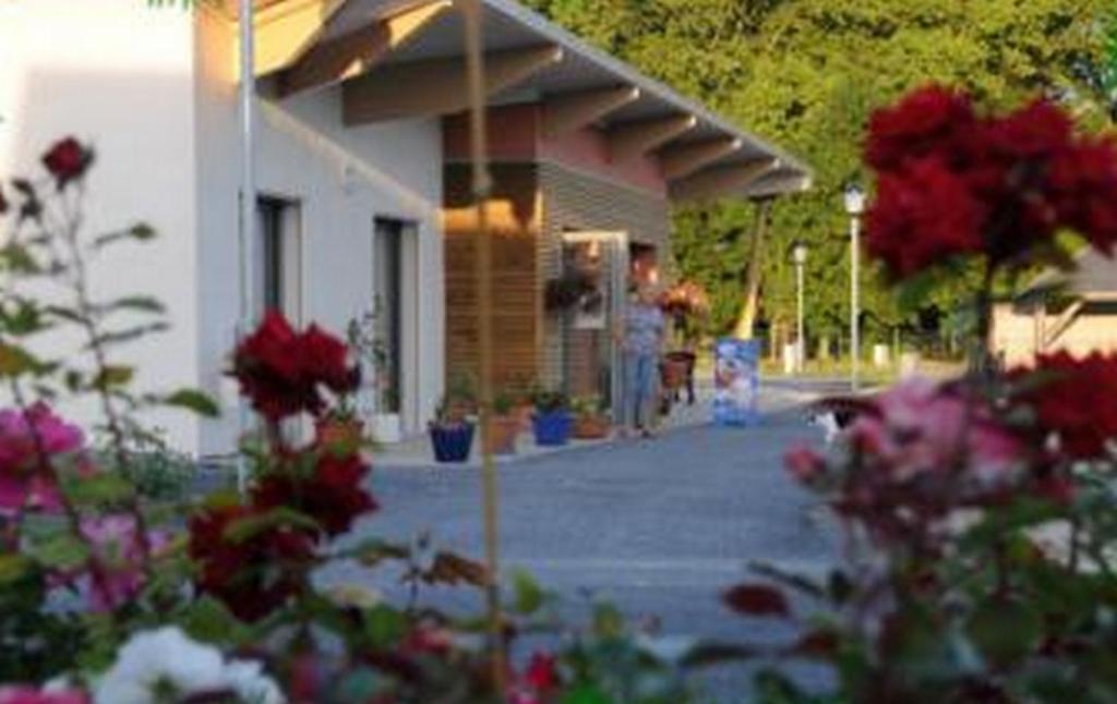 Camping Au Bord de l'Aisne Guignicourt Eksteriør bilde